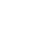 designrepublic_logo_2024_web_260_white